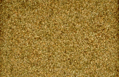 Giamportone_TABLES_thorns-detail