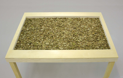 Giamportone_TABLES_leaves