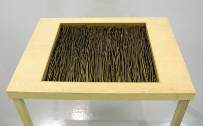 Giamportone_TABLES_stems