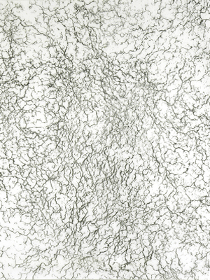 Giamportone_TALC_2